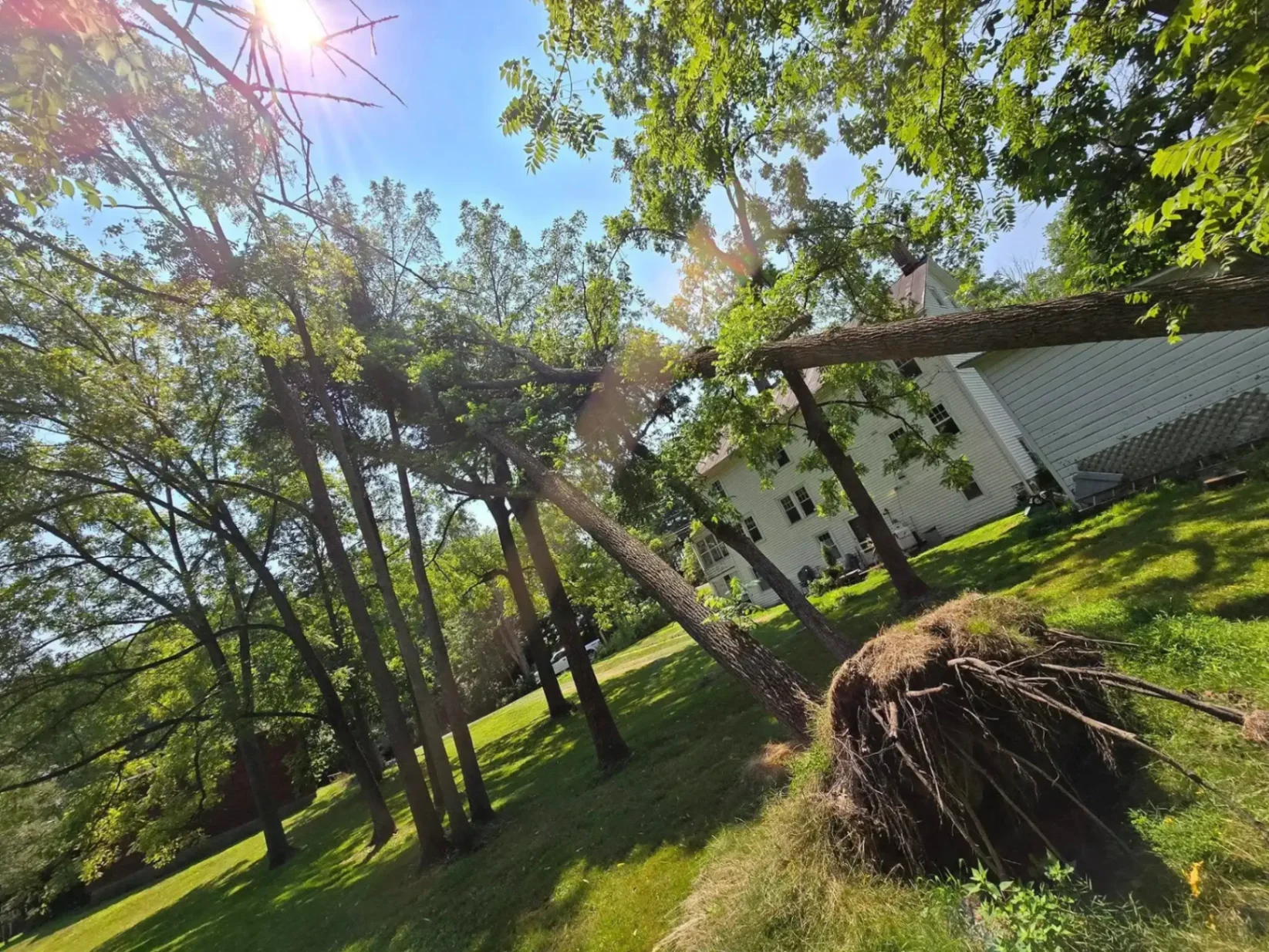 Emergency fallen tree removal near house