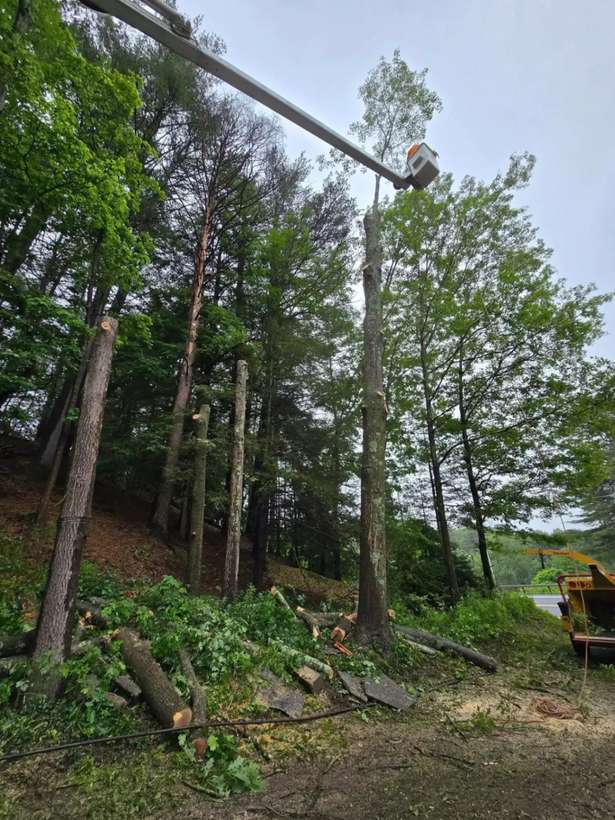 Bucket truck for high tree trimming service