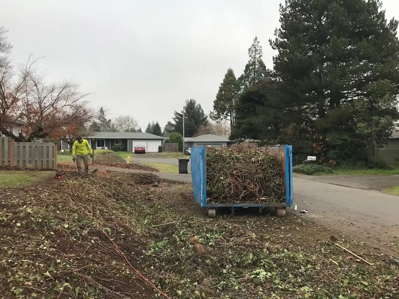Poison ivy removal and debris cleanup