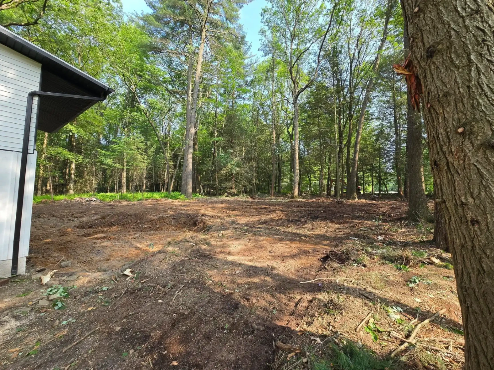 Land Clearing service in Ulster County NY