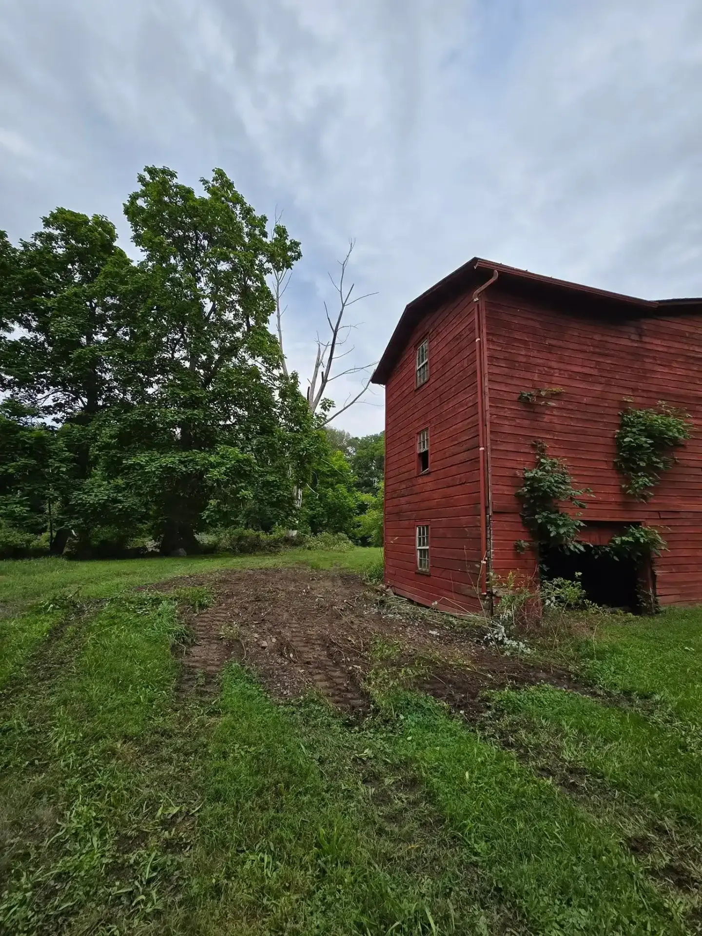 After land clearing - cleared area by red barn