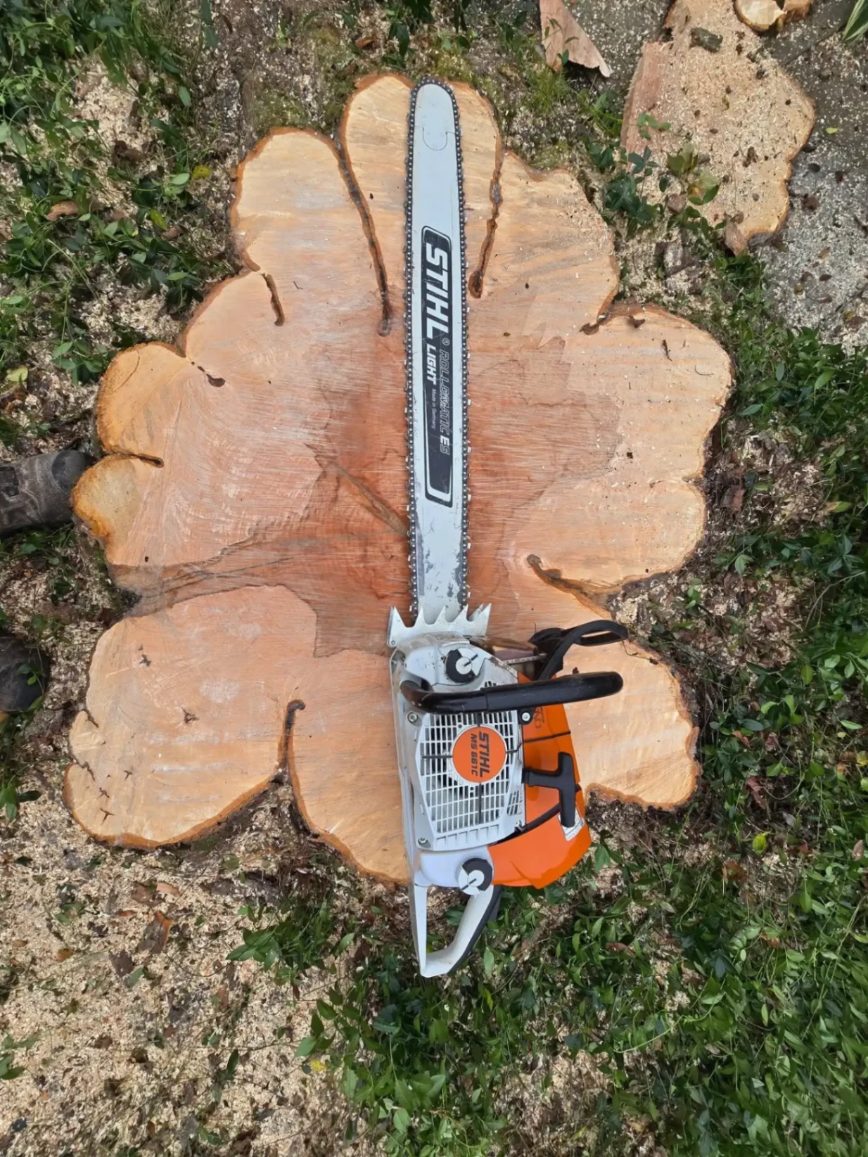 Tree Removal in Ulster County NY