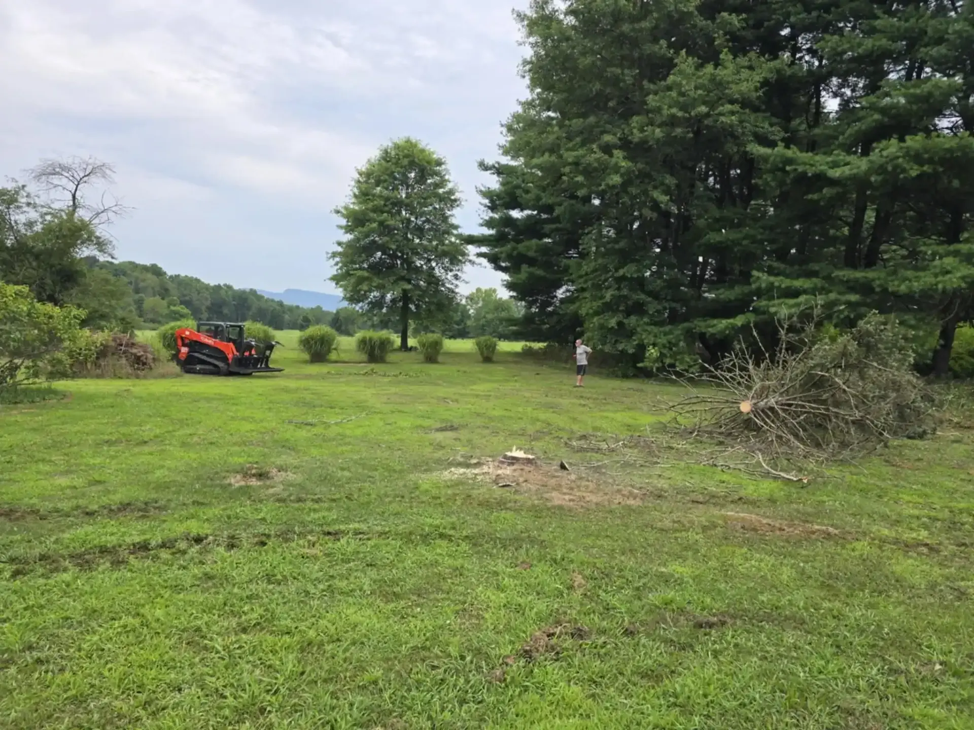 Land clearing and tree removal service