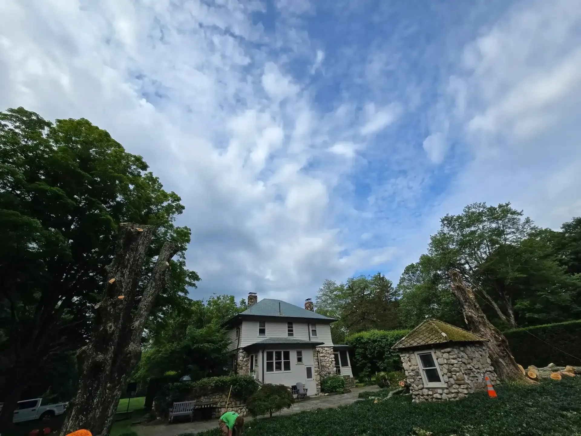 Professional tree trimming service in Ulster County New York