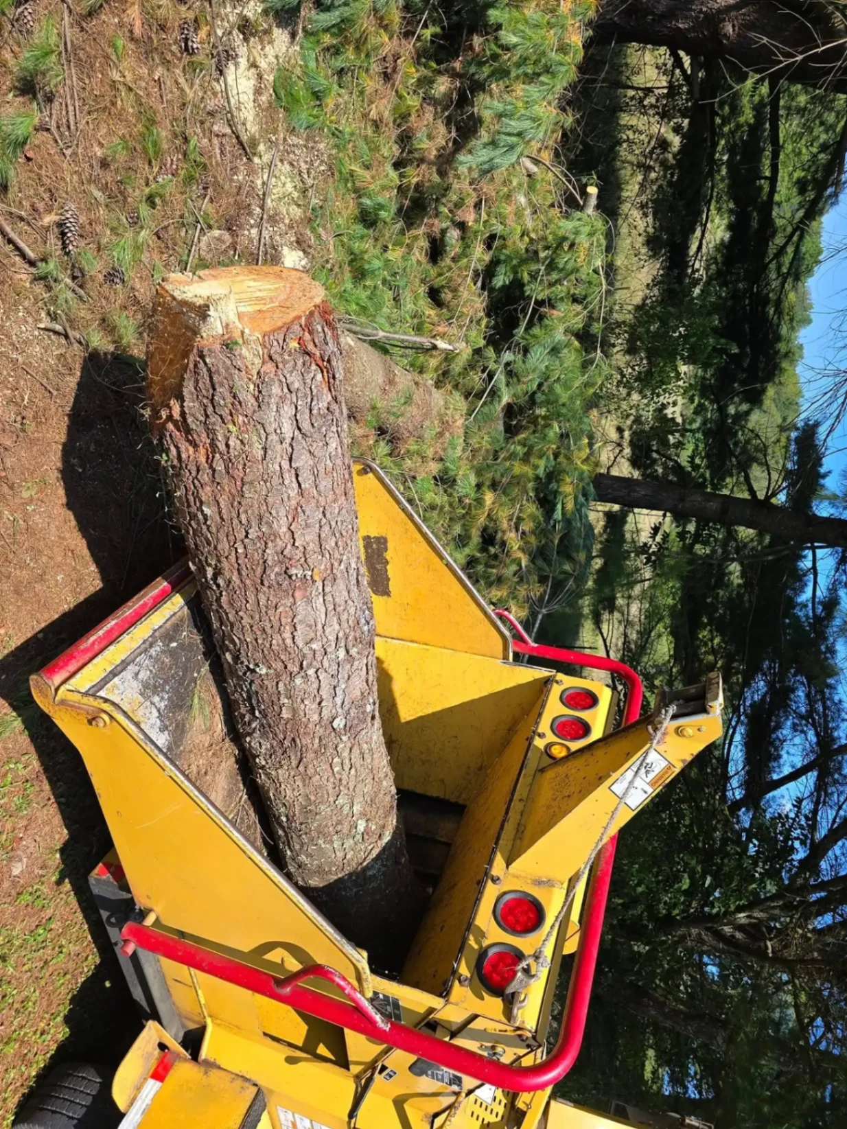 Wood chipper processing tree debris